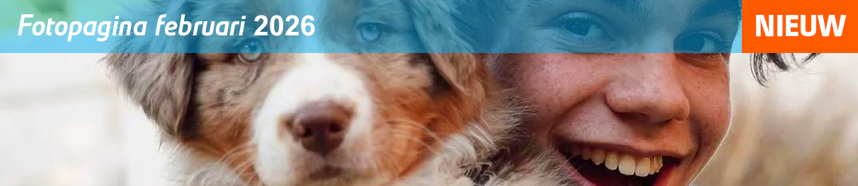 VJ fotopagina februari 2026